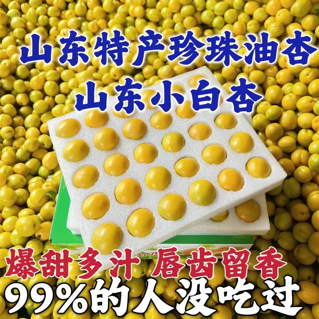 【顺丰送上门】山东小白杏纯甜珍珠油杏1000g+脆甜蜂蜜杏子山东杏子山东省