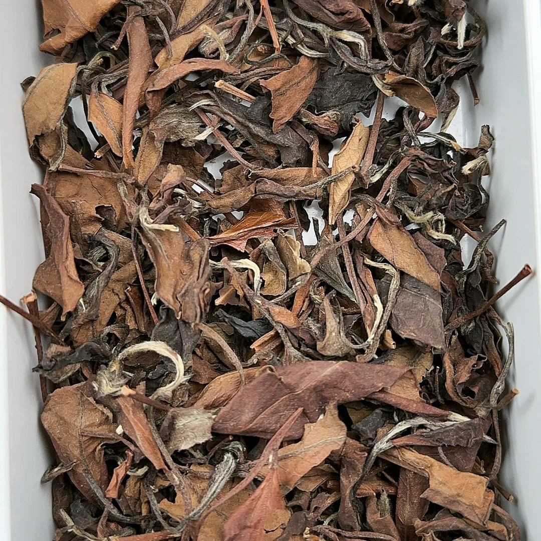 2015年老白茶福鼎白茶枣香药香木质香冰糖甜磻溪高山茶散茶盒装