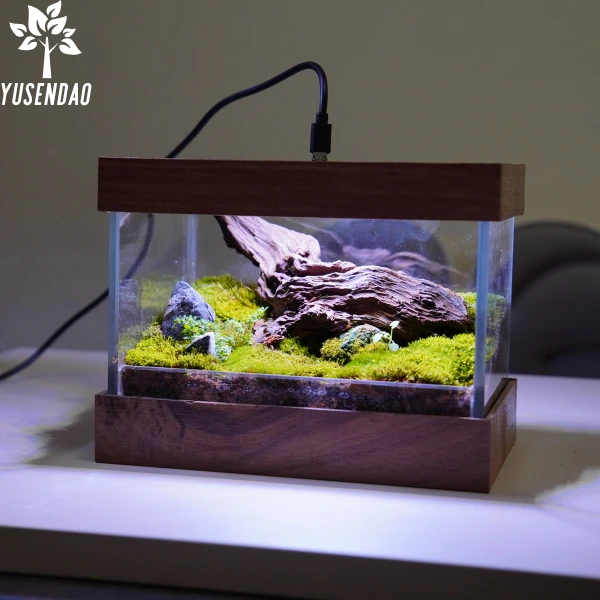 桌面宿舍办公室成品绿植苔藓微景观