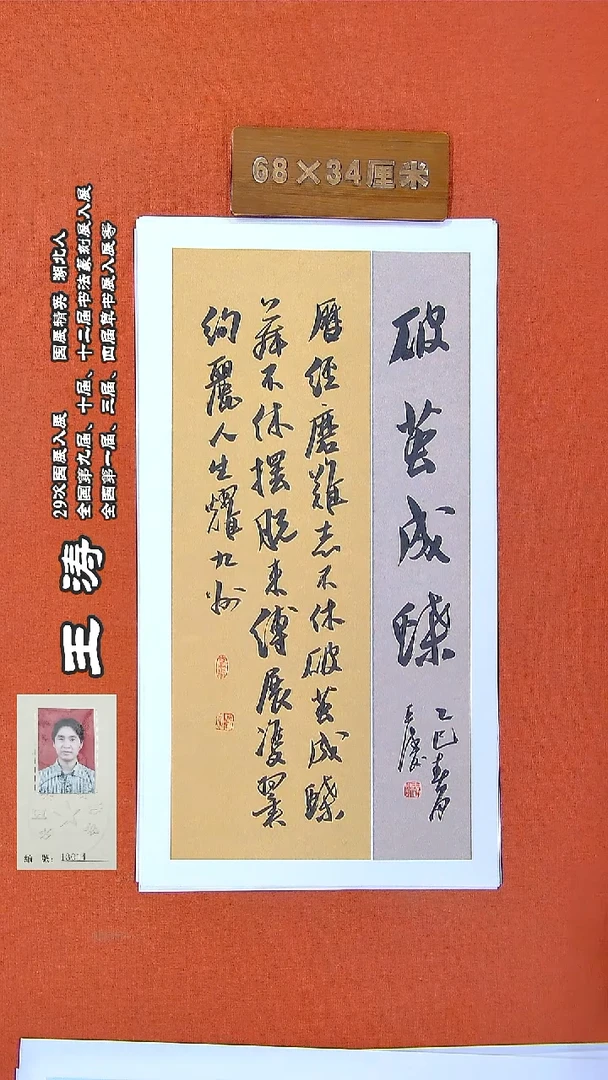 书法191王涛书法作品
