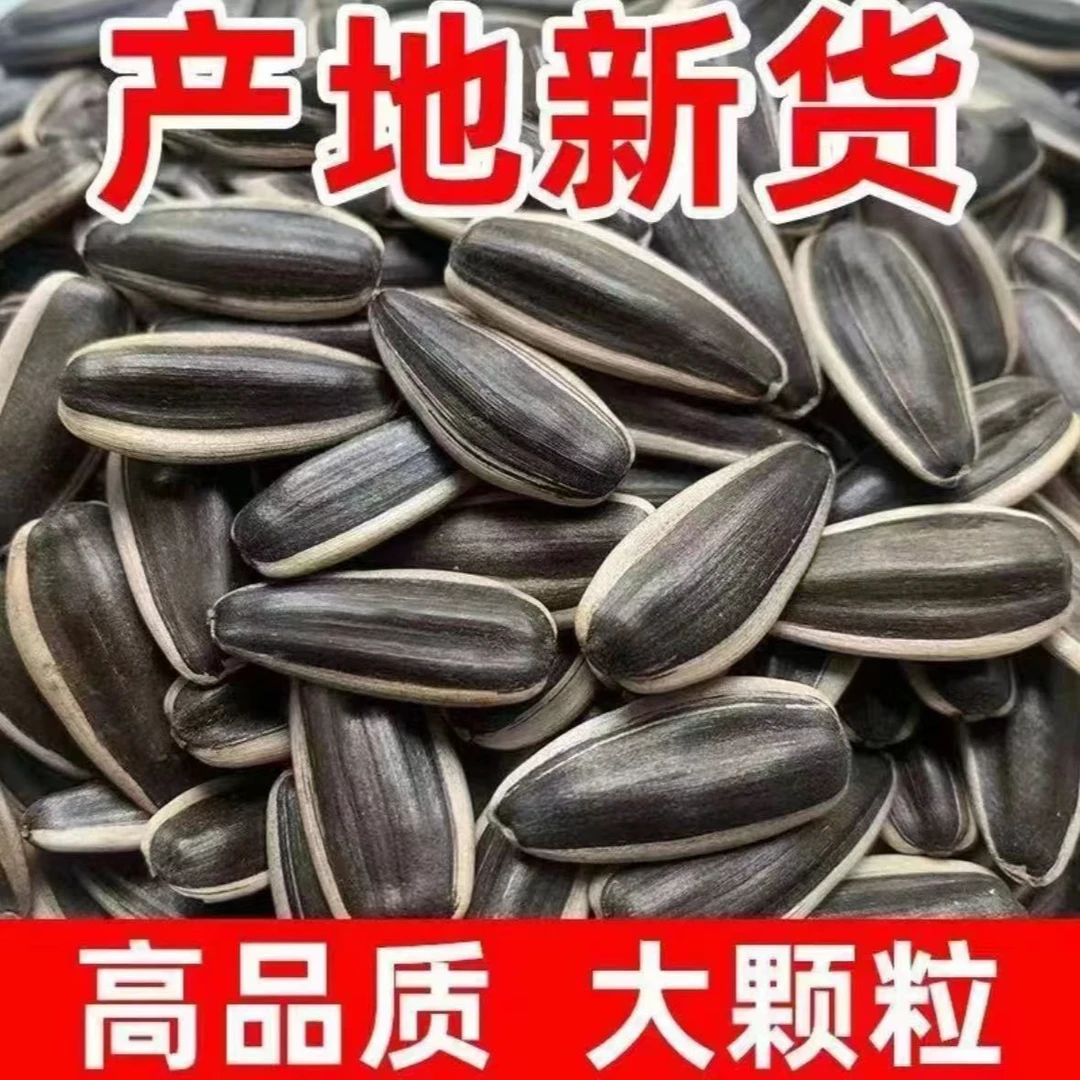 《生瓜子》内蒙赤峰原产地瓜子薄皮瓜子