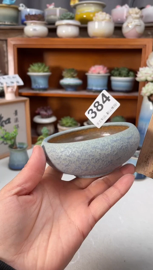 瓷片384小芳直播编号
