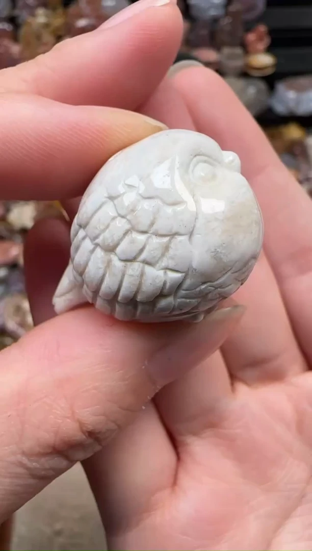 颈饰未镶嵌硅化珊瑚（珊瑚玉）476