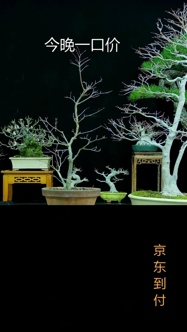 【闪购商品】000000