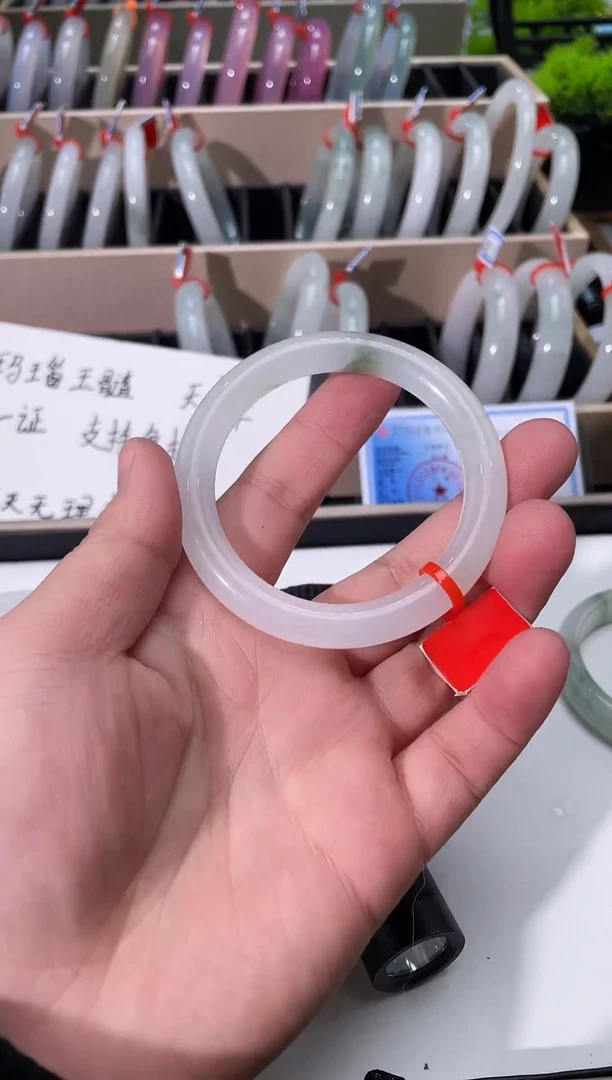 【闪购商品】石英质玉手镯未镶嵌天山翠