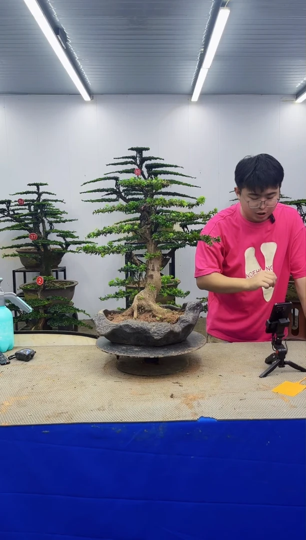 无花朵一物一拍，所见即所得