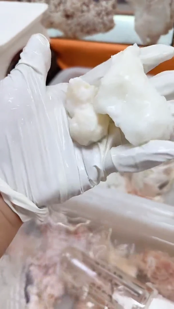 有机玻璃长白山天然石太岁