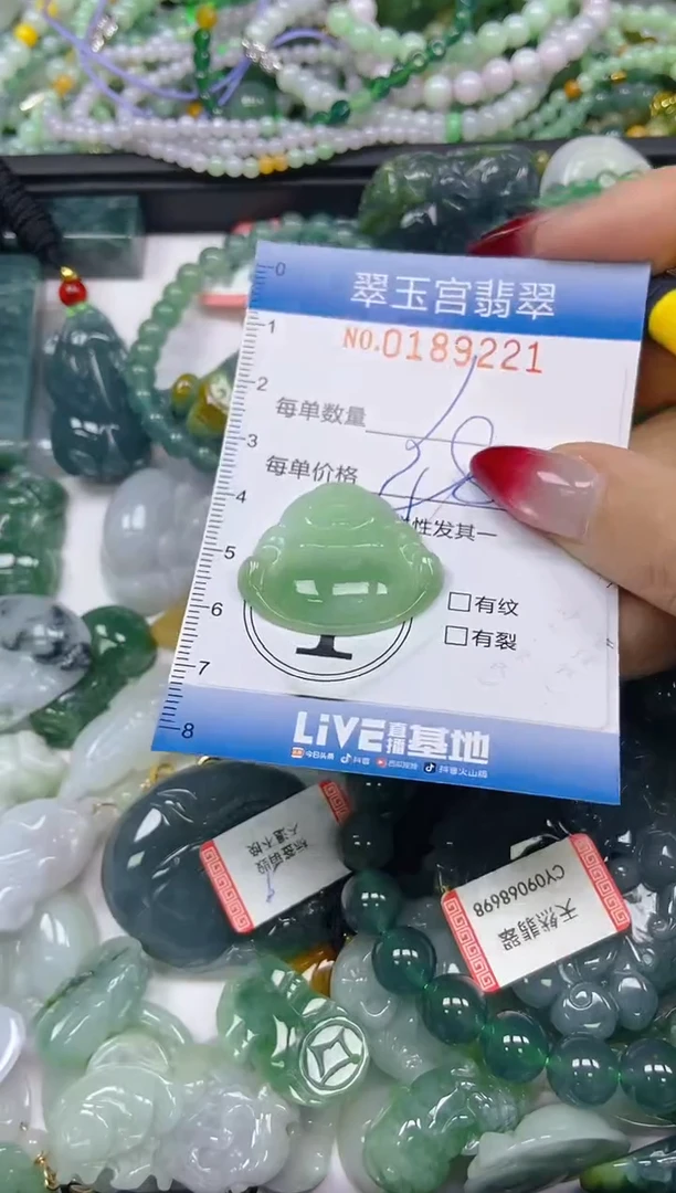 翡翠未镶嵌颈饰闪购0189221