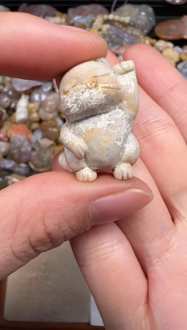 硅化珊瑚（珊瑚玉）未镶嵌颈饰297