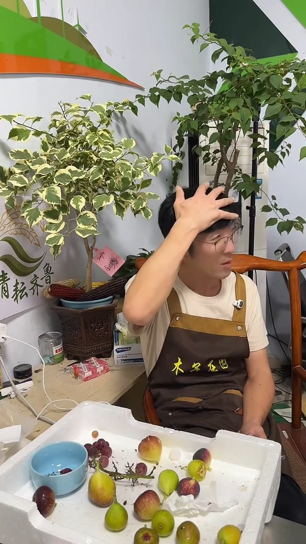 咕*?有啥装啥小果12枚