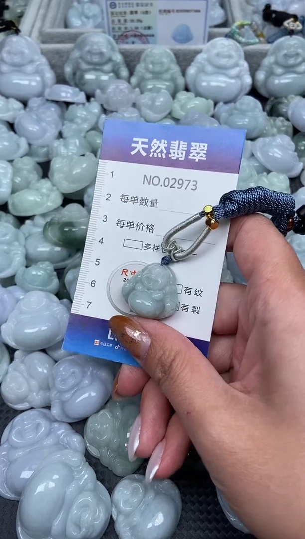 颈饰未镶嵌翡翠纯天然A货翡翠2973