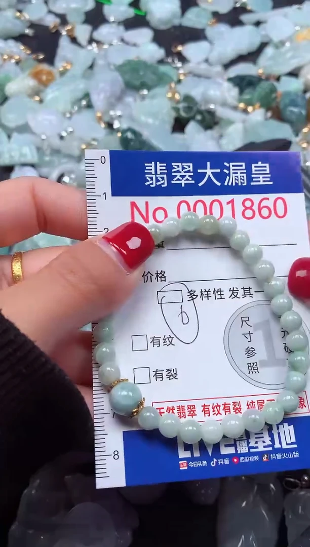 颈饰未镶嵌翡翠1860