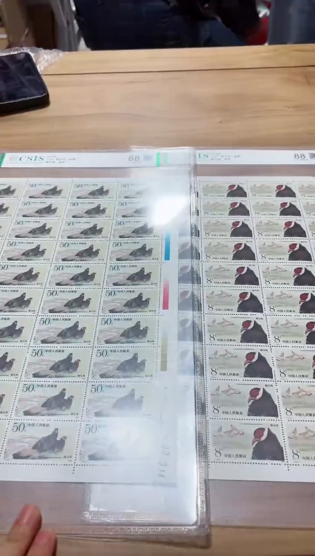 【闪购商品】T134 褐马鸡大版信泰评级 片材