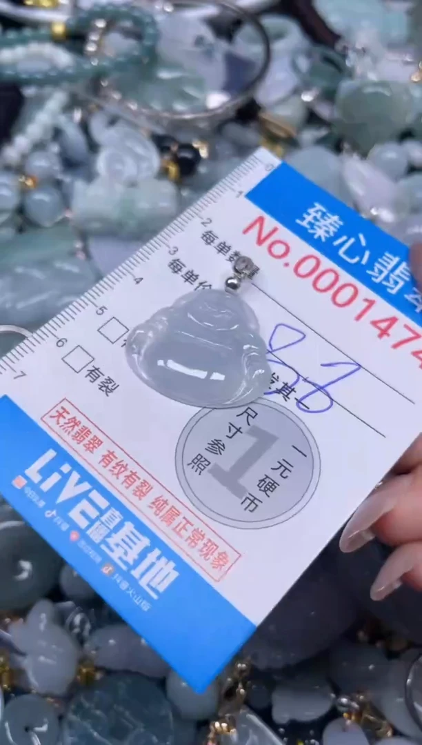 颈饰未镶嵌翡翠1474