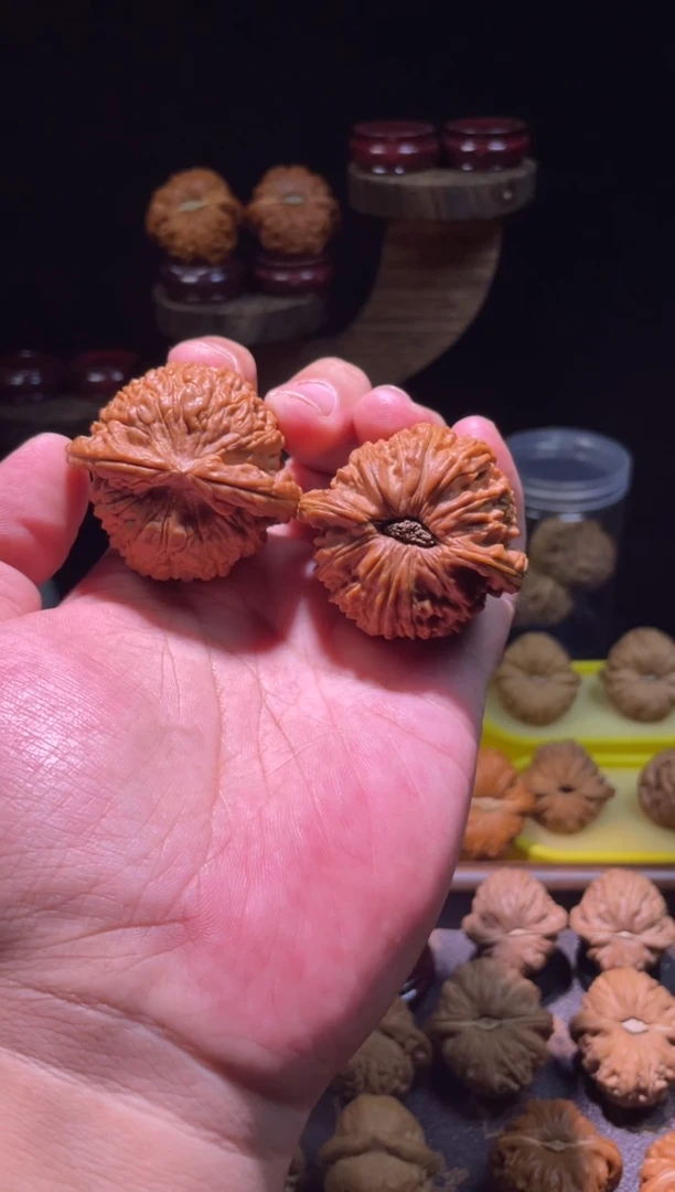 文玩核桃吊坠48全品大尺寸50g球形白狮子