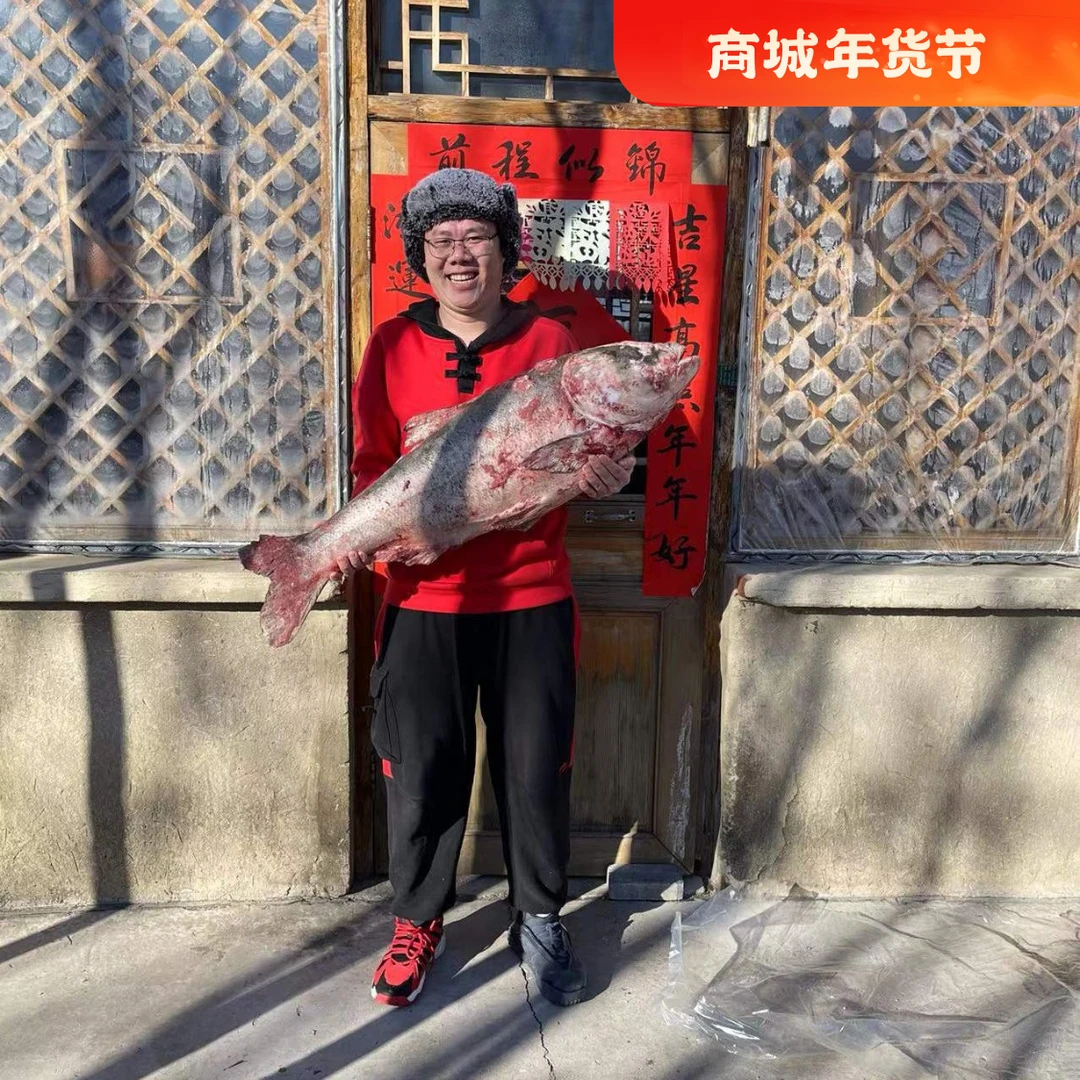 查干湖冬捕有机胖头鱼4斤-40斤礼盒包装正品保障顺丰生鲜冷链包邮