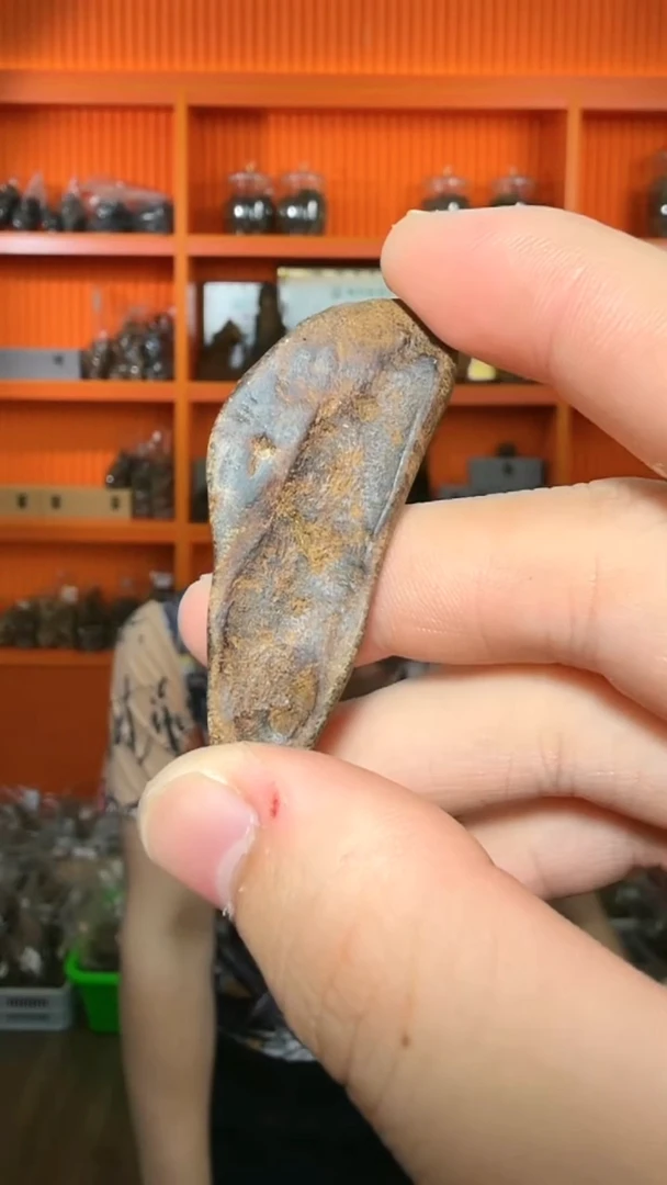 沉香吊坠475号沉水原母树小包头多样性发一