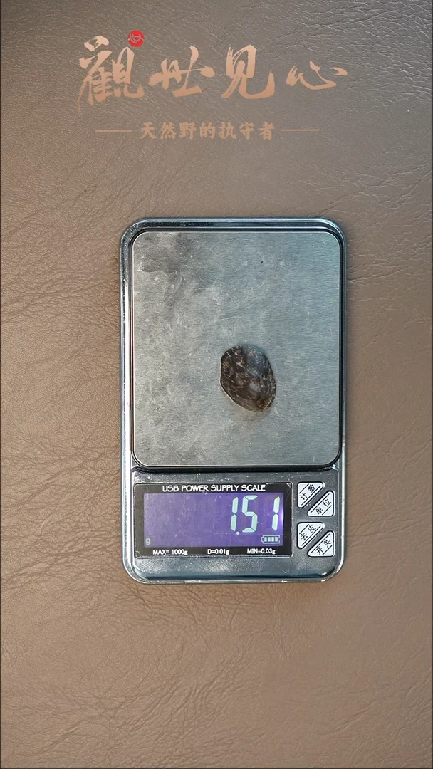 沉香沉香碎屑金三角留疤料   1.51g  沉水