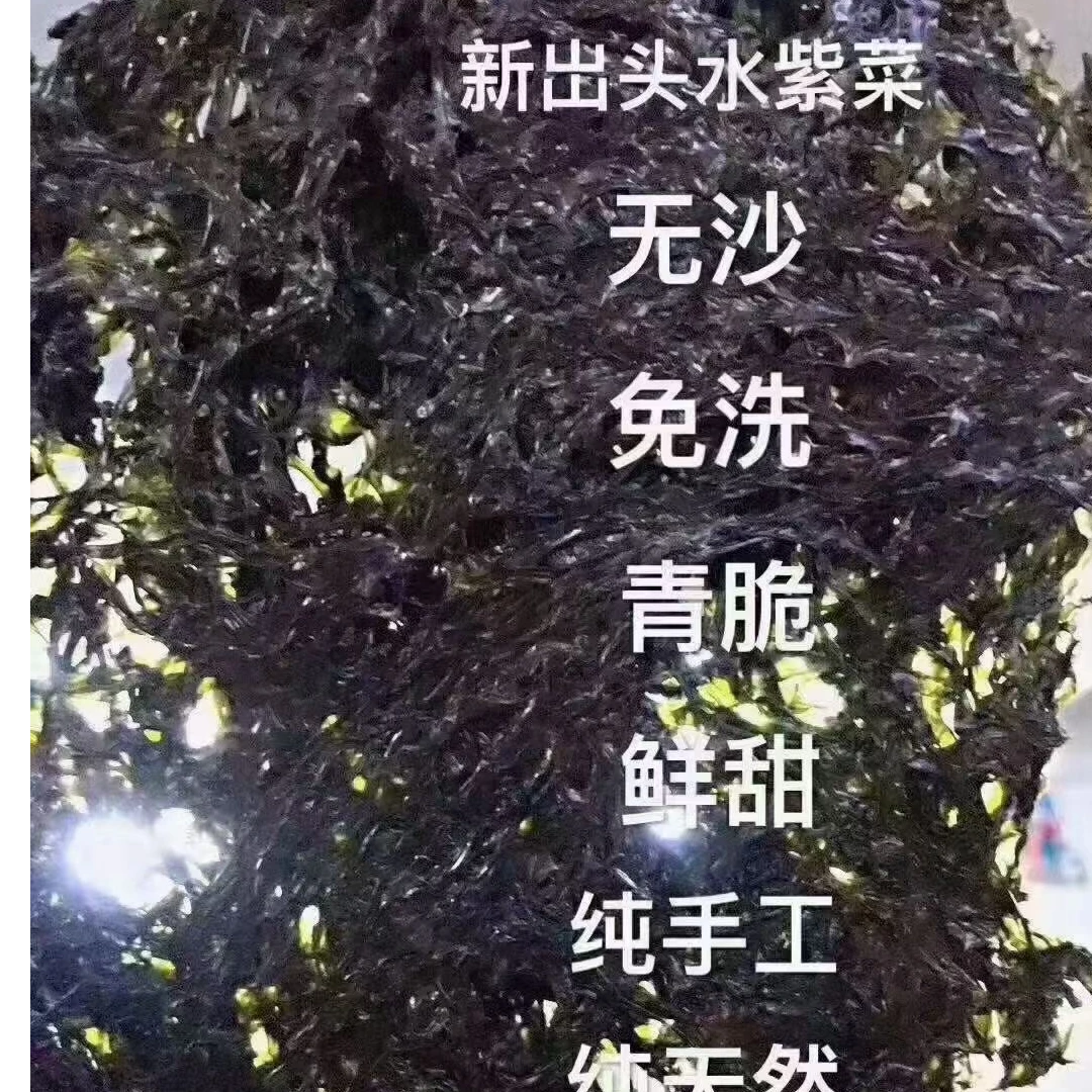 红海湾无沙头水紫菜