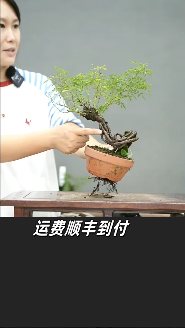巴**水78