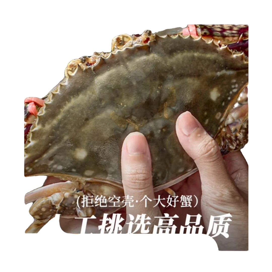 【郭老三八大湖店】直播现称·专人专拍—本地梭子蟹 多斤多两多只【保鲜不保活】