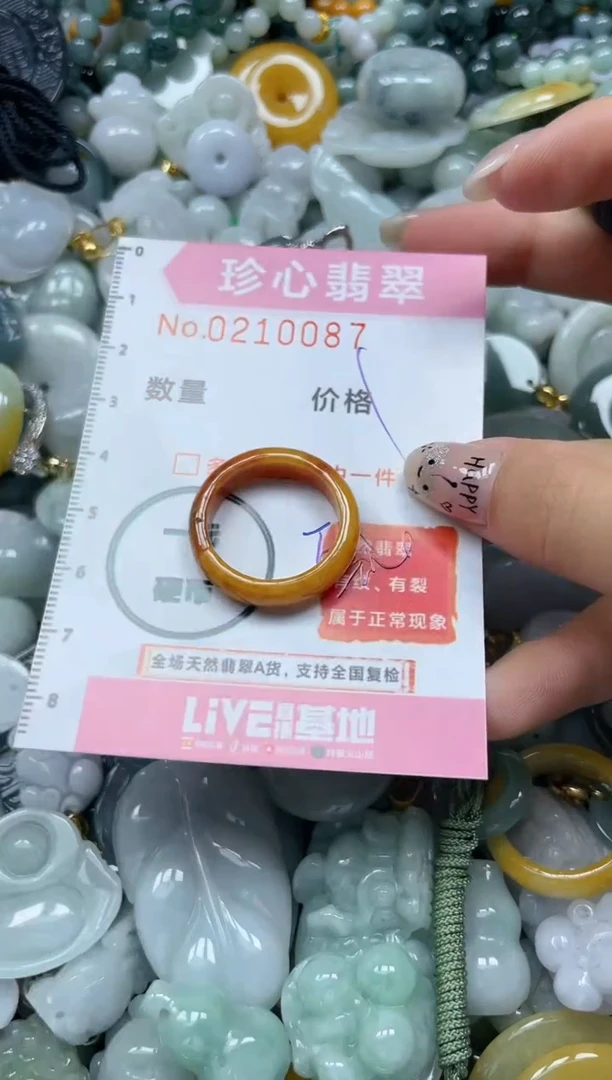 翡翠未镶嵌颈饰闪购0210087