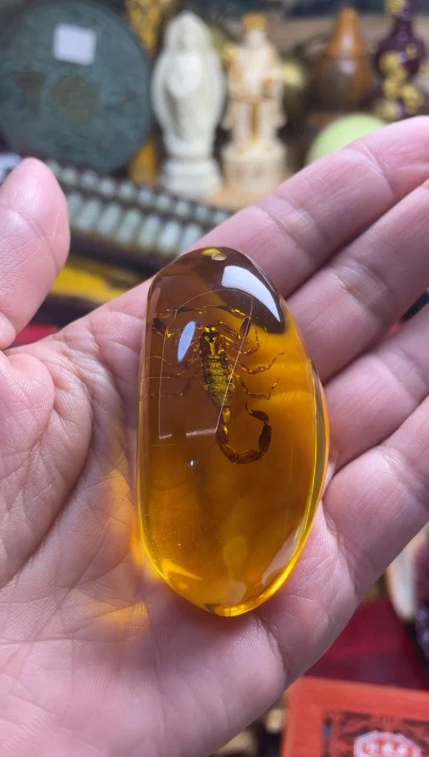 裸石琥珀未镶嵌主播推荐主播推荐