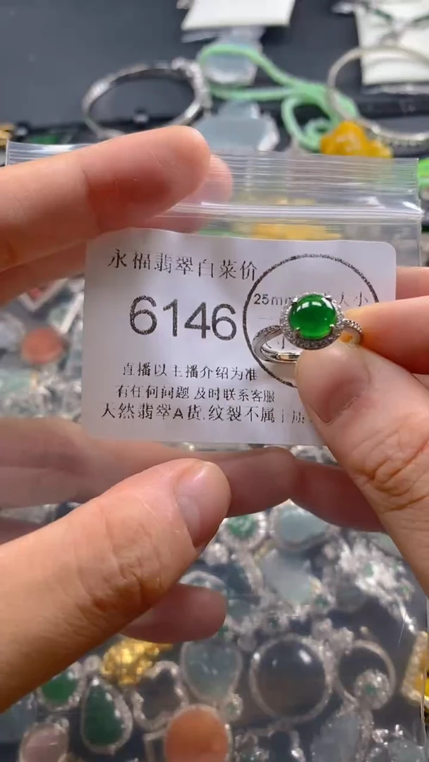 翡翠未镶嵌吊坠(不含链)6146