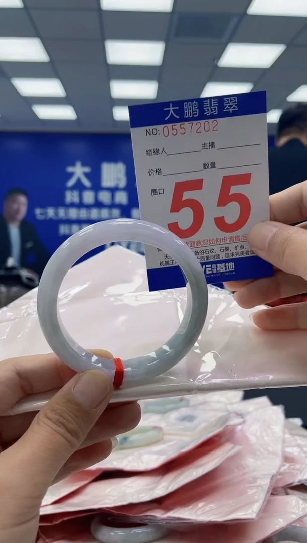 未镶嵌手镯翡翠AAAAAAAAAA