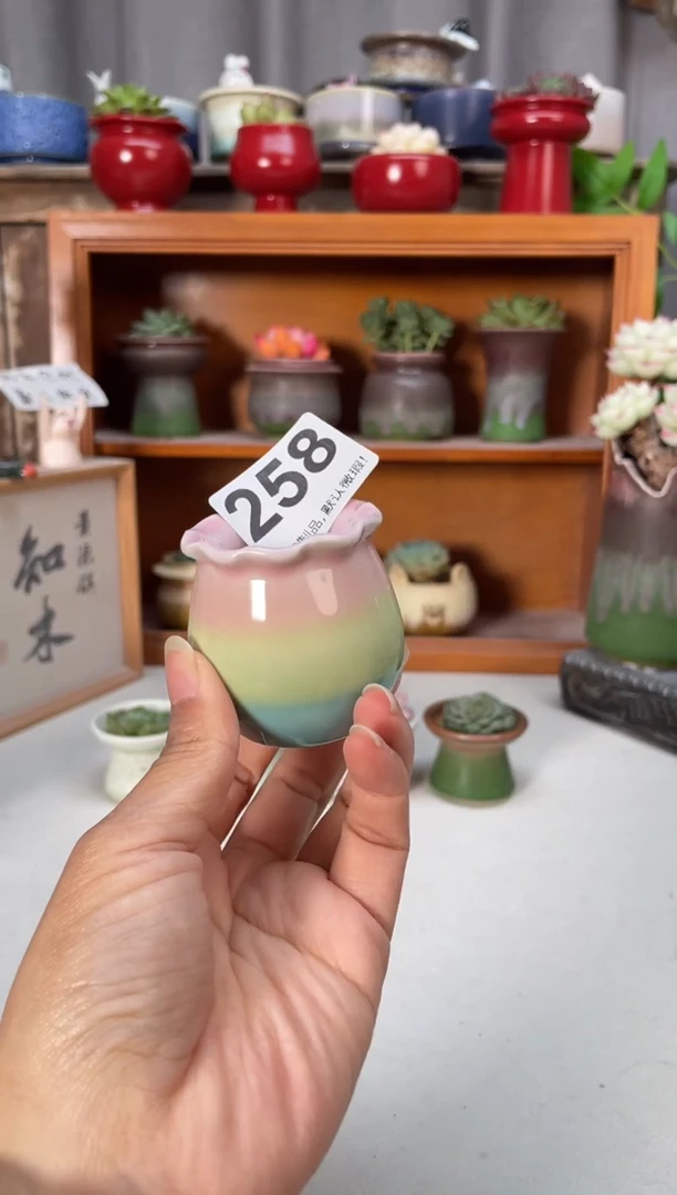 瓷片258知木小芳花盆