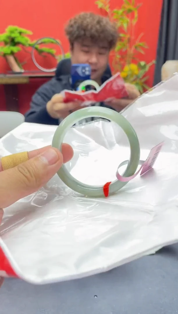 未镶嵌手镯翡翠4