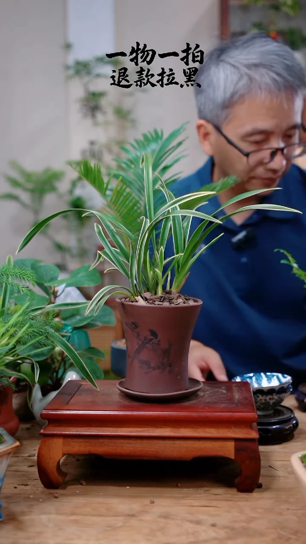 完全开放?**?兰花676