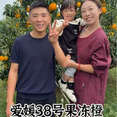 零下地区保温袋发货【小黄夫妇推荐A】四川爱媛38号果冻橙4-