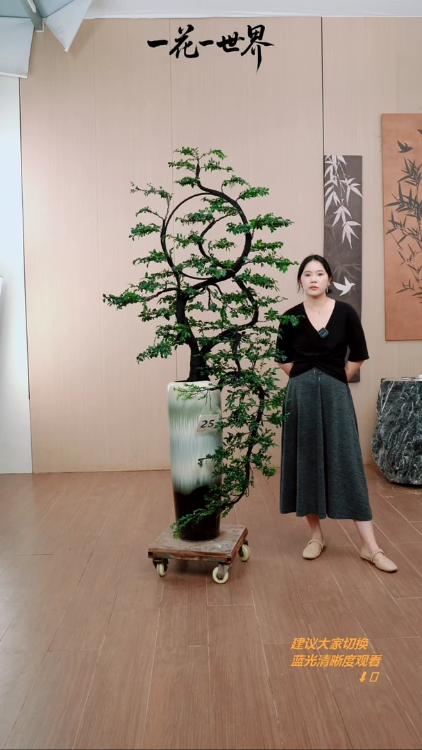 无花朵开****弟25号链接