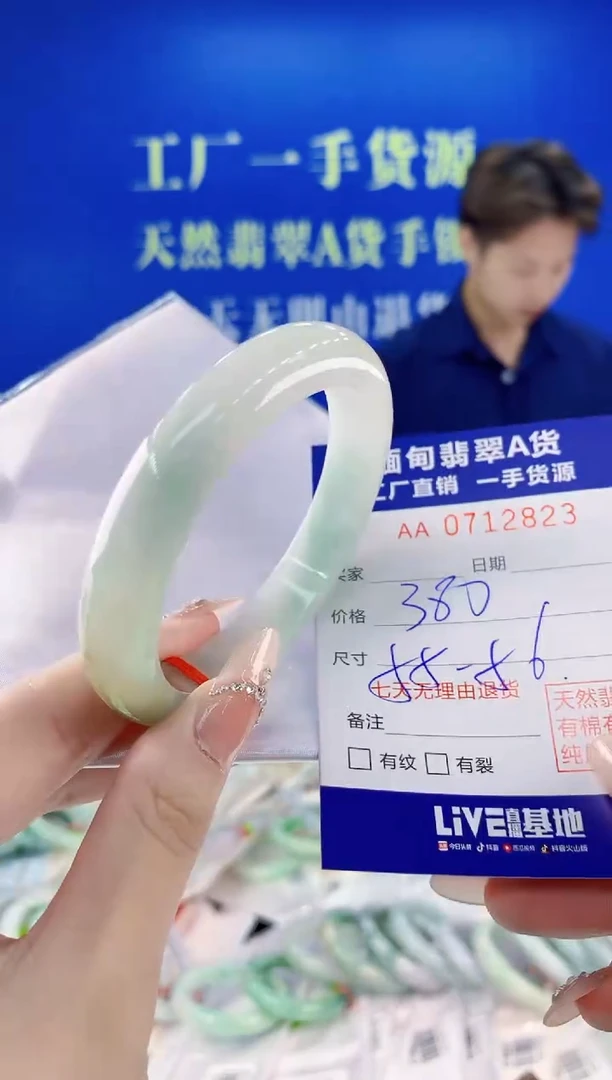 未镶嵌手镯翡翠23