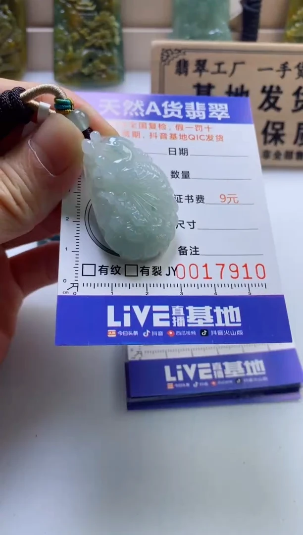 颈饰未镶嵌翡翠