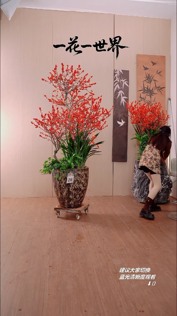 完全开放S****?【闪购链接】28号链接