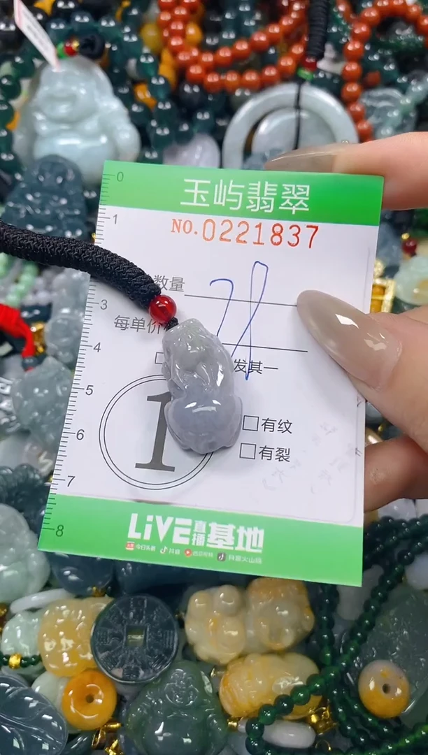 颈饰未镶嵌翡翠闪购0221837