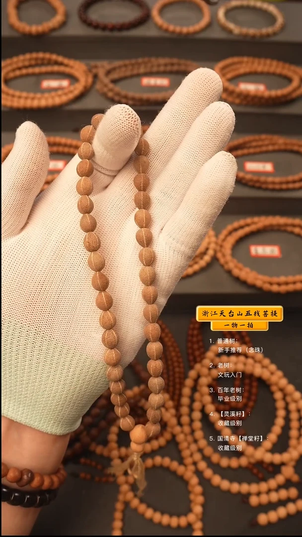 吊坠五线菩提?***?手持