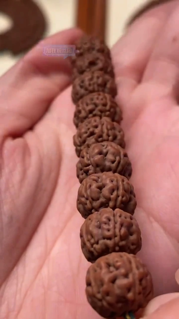 吊坠金刚菩提勿里达纯血老树王手持