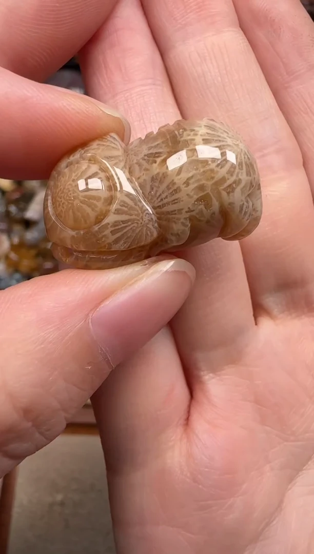 硅化珊瑚（珊瑚玉）未镶嵌颈饰205