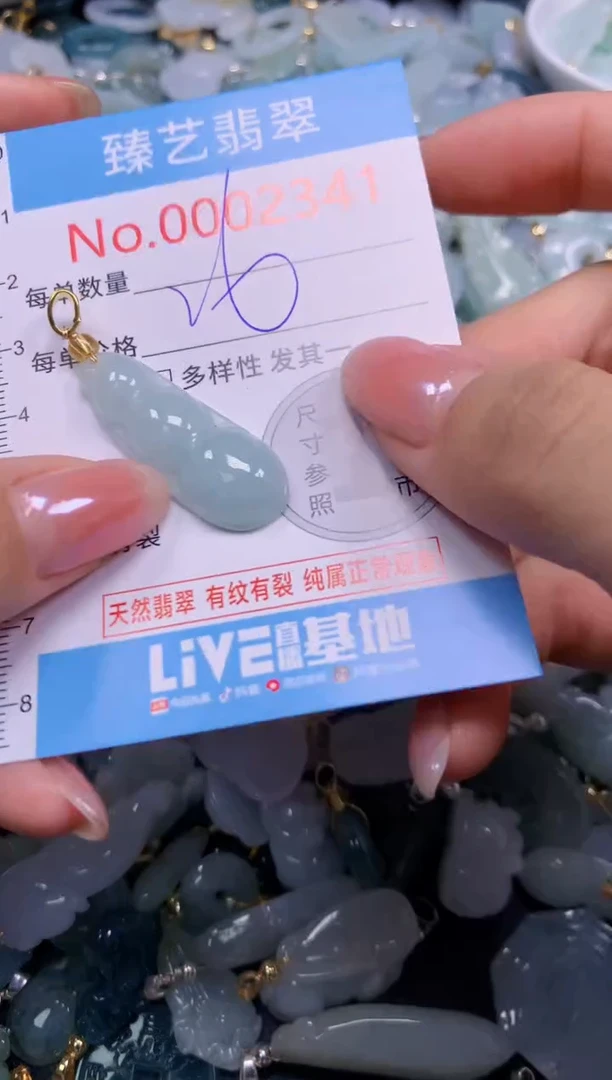 颈饰未镶嵌翡翠2340