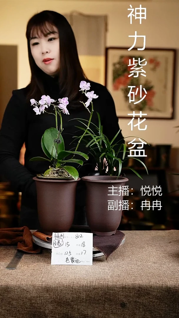 紫砂花盆花卉工艺812