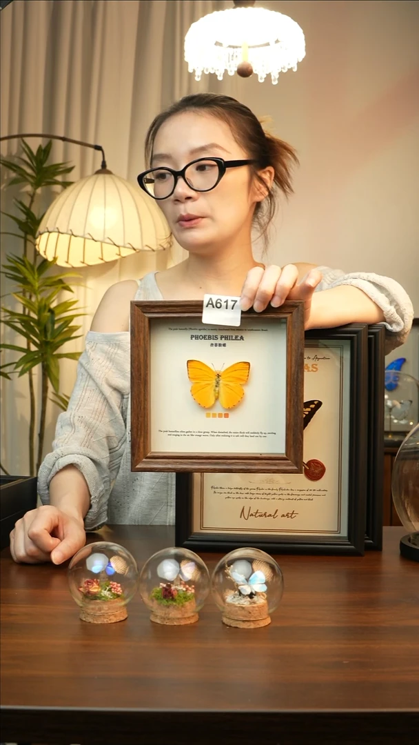 杏菲粉蝶真蝴蝶标本A617