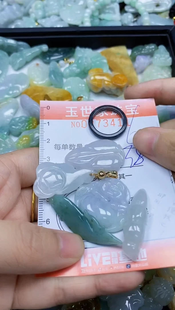 翡翠未镶嵌颈饰闪购0273411
