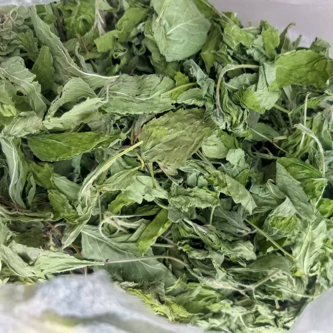 薄荷叶老乡自采晾晒干薄荷泡水