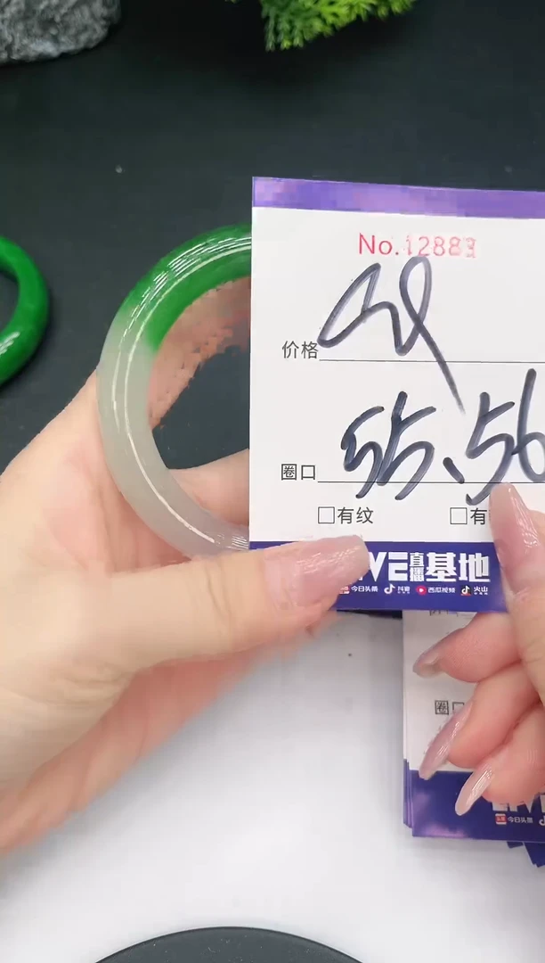 未镶嵌手镯翡翠12883