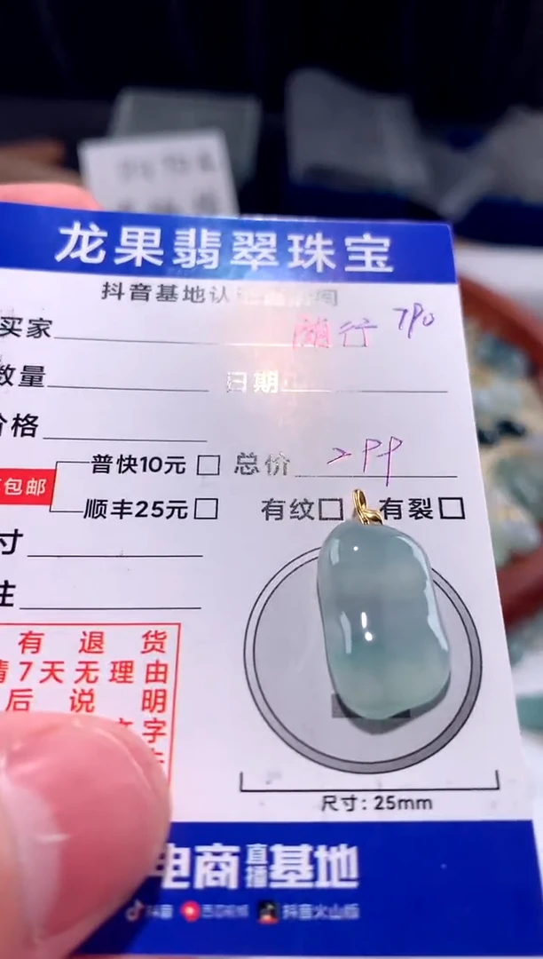 【闪购商品】翡翠颈饰未镶嵌冰胶随形790