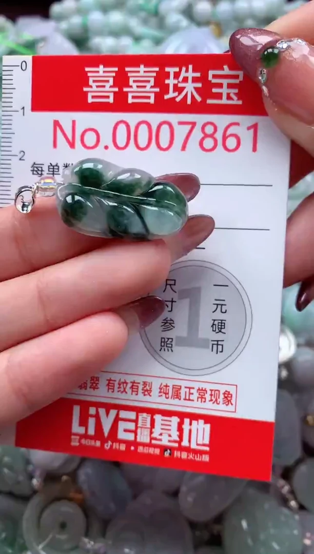 颈饰未镶嵌翡翠7861