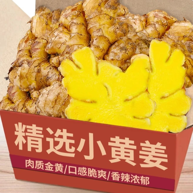 【粉丝福利】正宗小黄姜老姜干姜不带泥辛辣十足姜味浓郁9斤5斤3斤